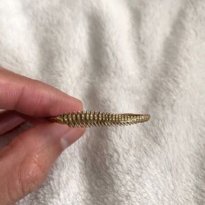 Verameat Spine Duster